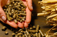 free Puxley biomass boiler quotes